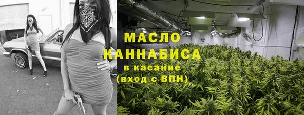 Альфа ПВП Горняк