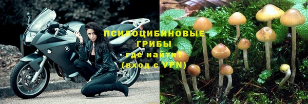 прущие грибы Алексин