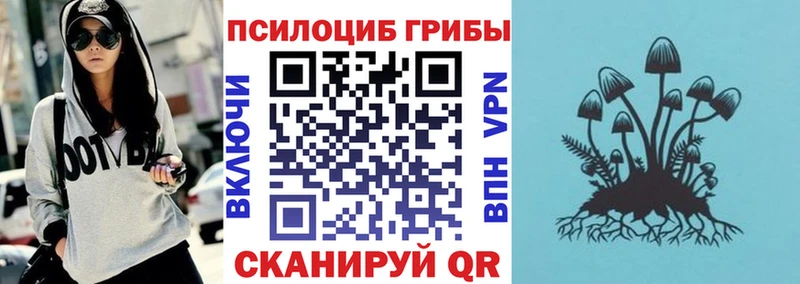 Галлюциногенные грибы Psilocybe  Канаш 